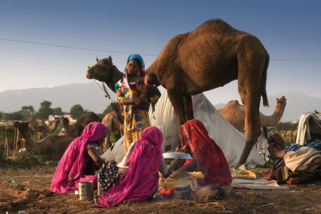 arte-feria-de-pushkar-1384-x1700-1024x683