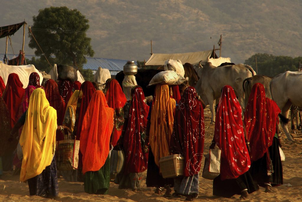 arte-feria-de-pushkar-1387-x1700-1024x683