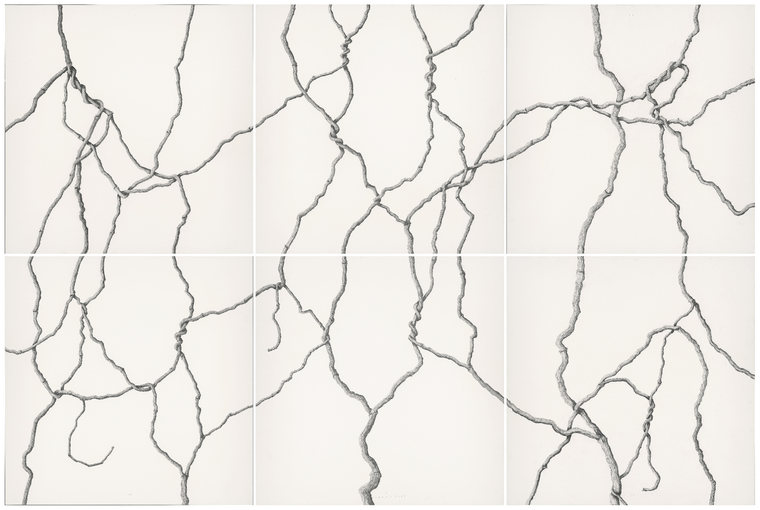 U-00304-MarcosIsamat-240x160cm-Hiedra-completa